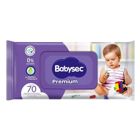 Toallitas Húmedas Premium, Baby Wipes, 70 Un